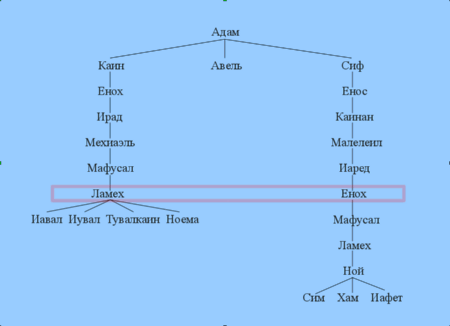 Генеалогическое дерево потомков Адама
